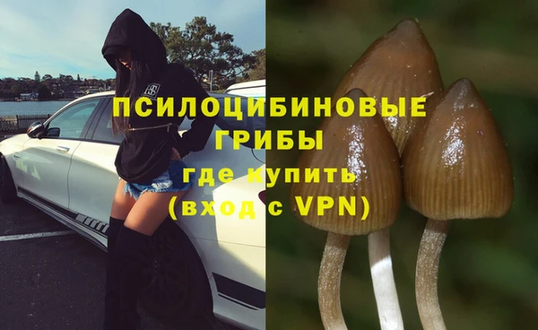 spice Михайловск