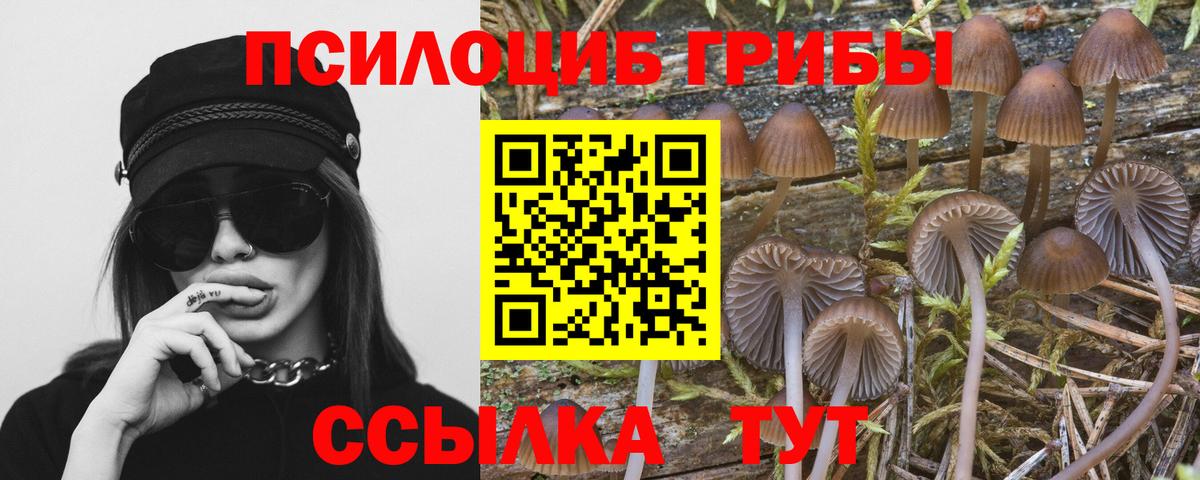 Тобольск  наркотики  Вход с VPN  Псилоцибиновые грибы мицелий 